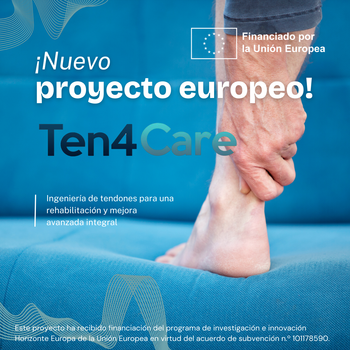 Un nuevo horizonte para la salud: TEN4CARE, el proyecto europeo que revolucionará el tratamiento de las lesiones de tendones, comienza el 1 de septiembre