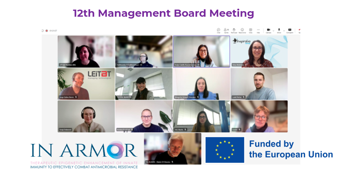 El proyecto europeo IN-ARMOR coordina sus próximos hitos en la 12ª reunión de su Management Board